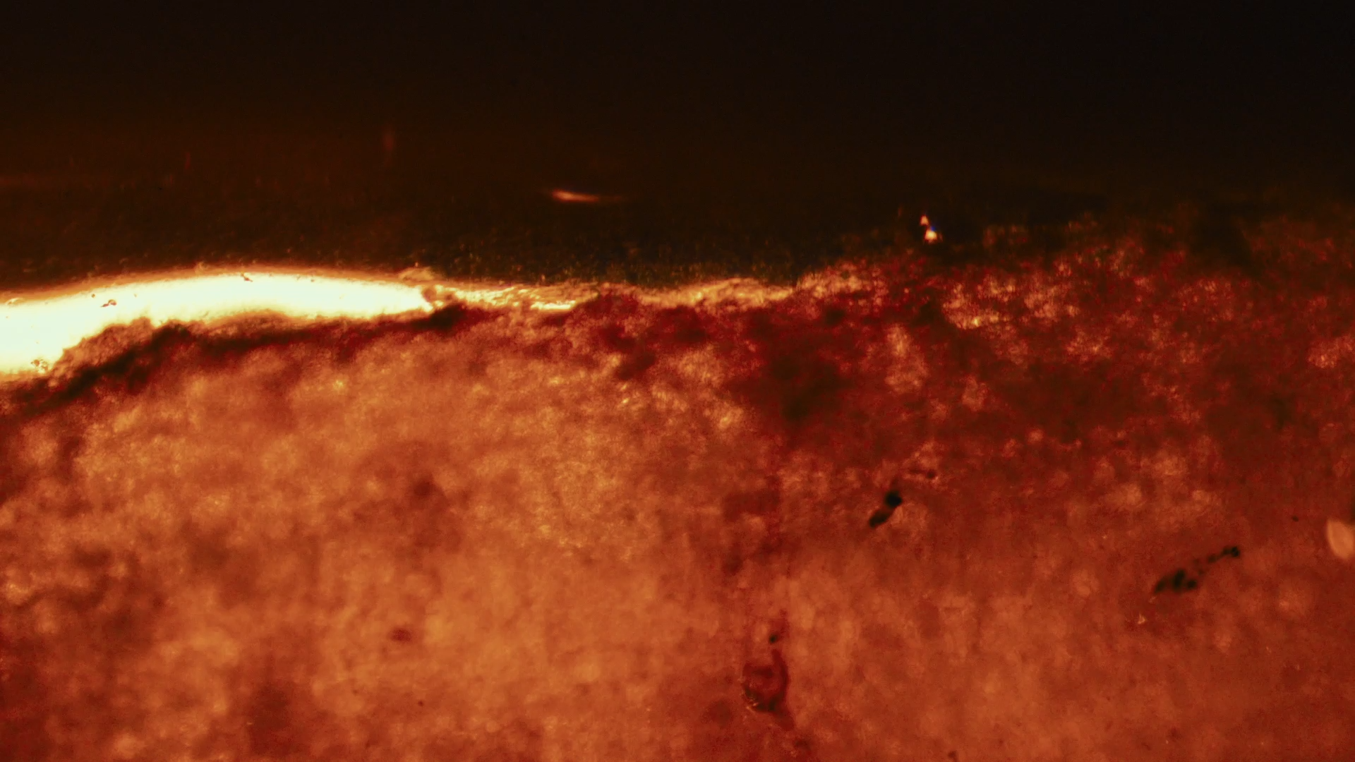 Doctor talking with a patient