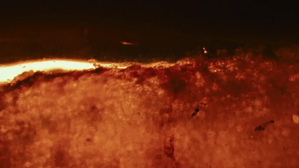 GLP-2 Medications & Fertility: What Every Woman Should Know